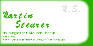 martin steurer business card